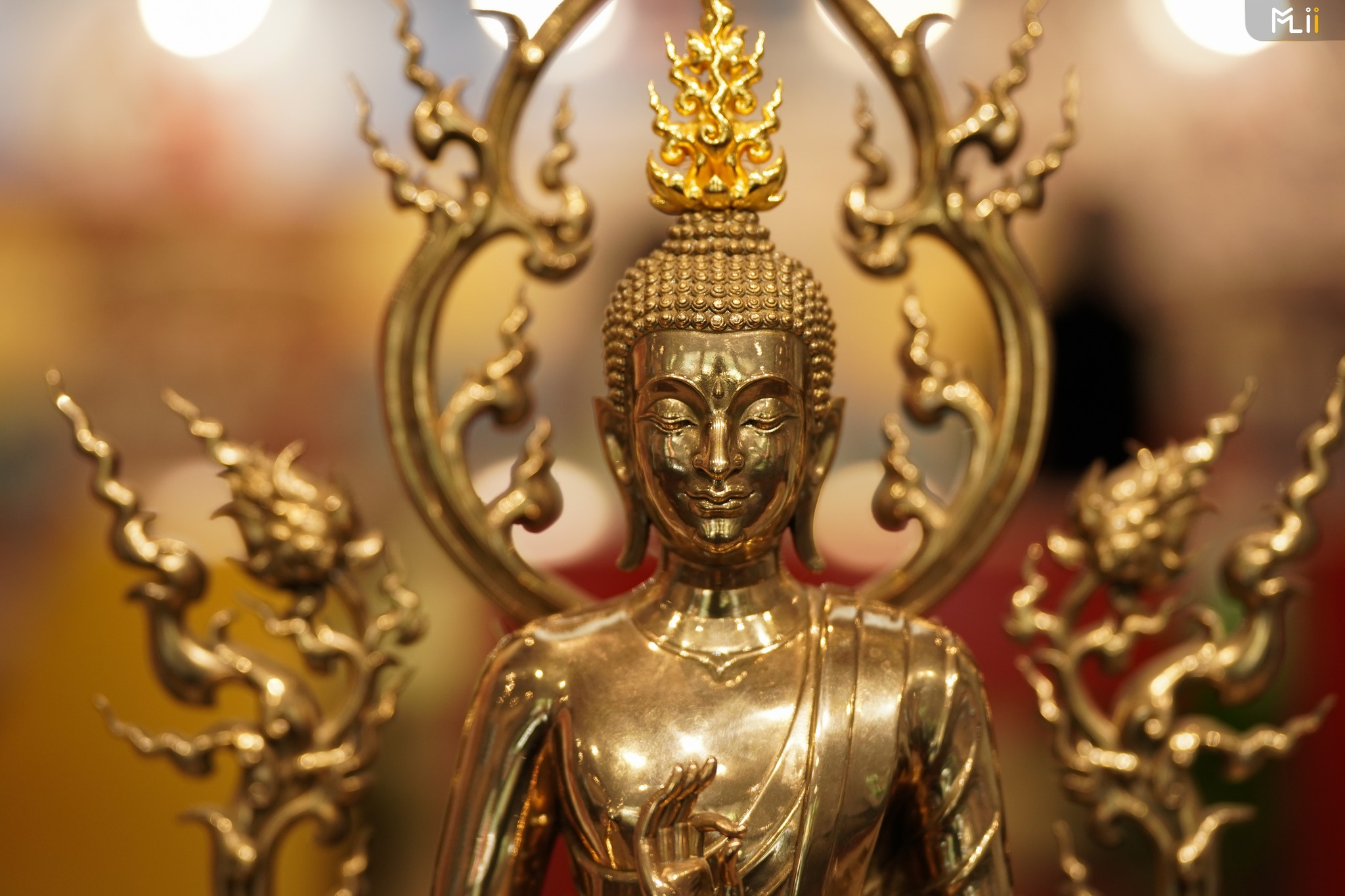 650758515_1569647364643948_4217081822512770208_n